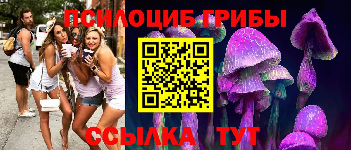 Псилоцибиновые грибы мицелий  как найти закладки  Псилоцибиновые грибы Psilocybine cubensis  Тверь  Вход с VPN 