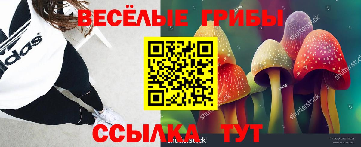 Галлюциногенные грибы прущие грибы Тверь
