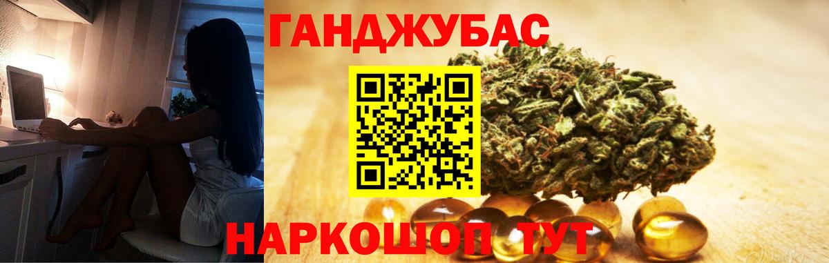 Конопля сатива Тверь