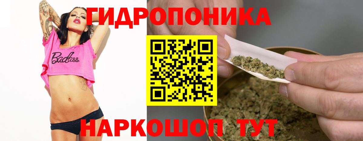 Марихуана семена  Вход с VPN  Канабис планчик  МАРИХУАНА конопля  Тверь 